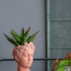 D6X9" Visage Head Bust Planter - Brown - Image 9