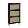 Modern Rattan 3 Door Shoe Rack Cabinet For Entryway Freestanding Black Storage Unit In Particle Board - Black - Image 6