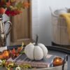 Weighted Pumpkin / Pattern (Set of 3) - Cream - Image 5
