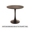 Modern Round Dining Table Set With 2 Chairs Metal Legs, 2 - 4 Person Capacity - Beige / Black - Image 11