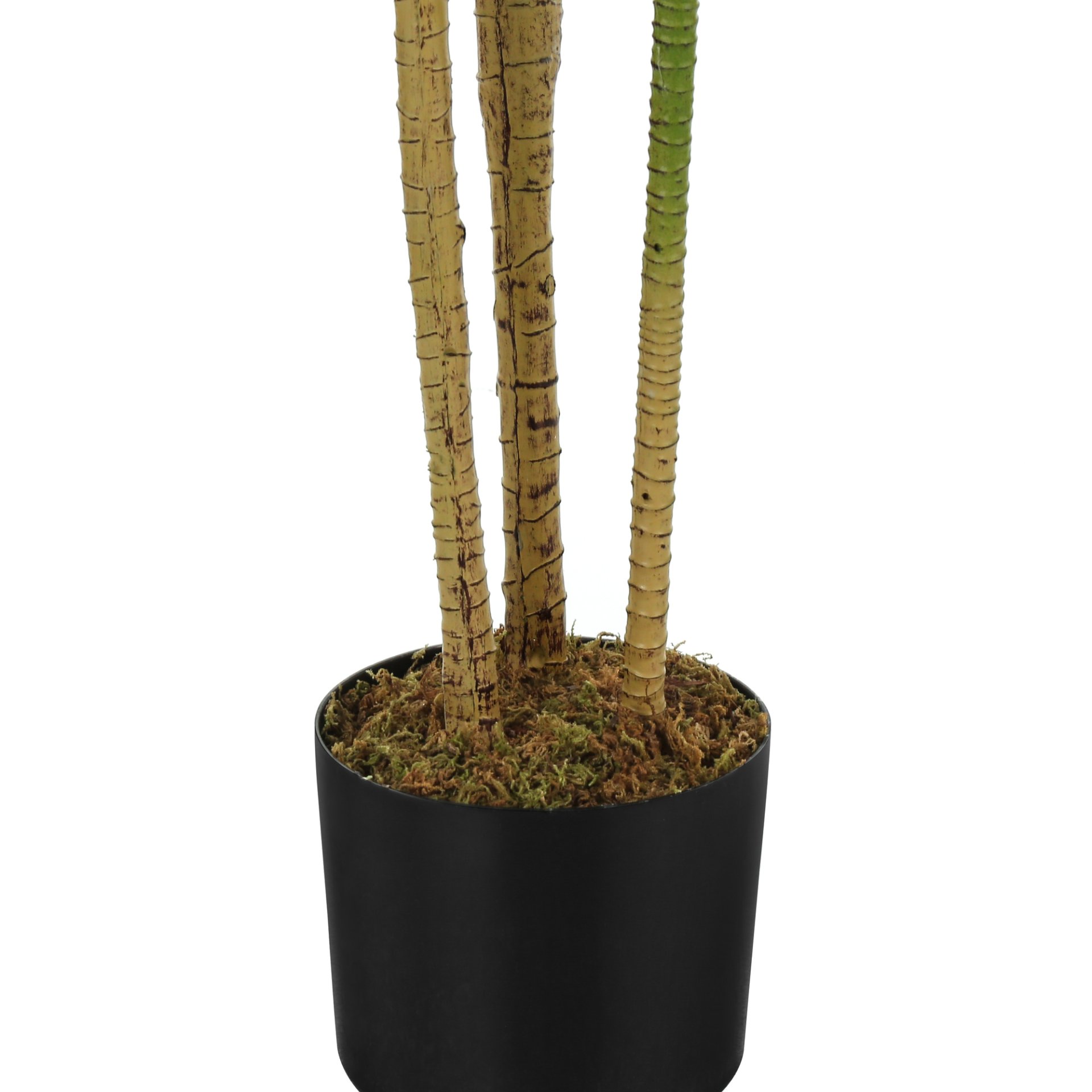 51" Tall, Artificial Plant, Dracaena Tree, Indoor, Faux, Fake, Floor, Greenery, Potted, Real Touch, Decorative - Green / Black - Image 5