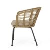 Randy - Modern Wicker Chair With Water Resistant Cushions - Brown / Beige - Image 9