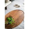 Oval Cofe Table - Brown - Image 13