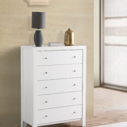 Modern Elegant Transitional Storage Chest - White