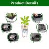 Elegant Square Planter With Automatic Watering System, Faux Rattan Design, Polypropylene (Set of 2) - Black - Image 6