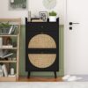 Allen - Rattan 2 Door 1 Drawer Cabinet Shoe Rack For Entrance, Double Layer - Black - Image 2