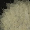 Camilla - Square Shadow Box Wall Decor - Black White - Image 4