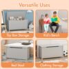 Kids Wooden Toy Box Storage With Safety Hinged Lid For Ages 2+ - Gray - Image 13