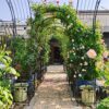 Metal Garden Arch With Two Plant Stands Wide High Climbing Plants Support Rose Arch Outdoor - Black - Image 5