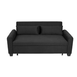 Balus - 2 In 1 Convertible Sofa Bed & Storage And Adjustable Backrest - Black