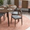 Destiny - Dining Chairs (Set of 2) - Gray - Image 7