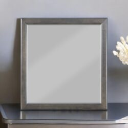Louis Philippe - Mirror - Dark Gray