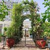 Metal Garden Arch With Gate High Climbing Plants Support Rose Arch Outdoor - Black - Image 2