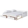 Daybed With Trundle And Two Storage Drawers, Sofa Bed For Bedroom - White - Image 2