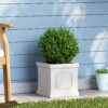 Magnesium Oxide Planter - Antique White - Image 2