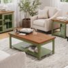 Vineyard - Coffee Table - Sage Green And Fruitwood - Image 6