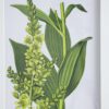 Botanical Flower Wall Art, Home Decor For Living Room Dining Room, Bedroom, Hallway (Set of 4) - White / Blue - Image 10