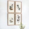 Bird Framed Print (Set of 4) - Multicolor - Image 5