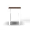 Hampton - Writing Desk - Jasmine Whitewash / Barnwood - Image 5