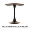 Modern Round Dining Table Set With 2 Chairs Metal Legs, 2 - 4 Person Capacity - Beige / Black - Image 12