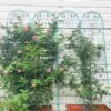 4 Pack Metal Garden Trellis Rustproof Trellis For Climbing Plant Outdoor Flower Support - Green - Image 3