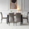 5 Piece Dining Set Including Velvet High Back Nordic Dining Chair & Creative Design Dining Table - Gray - Image 4