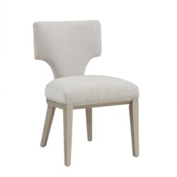 Kasa - Side Chair (Set of 2) - Light Gray