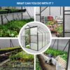 6X10 Ft Polycarbonate Greenhouse Raised Base And Anchor Aluminum Heavy Duty Walk-In Greenhouses For Outdoor Backyard In All Season - Black - Image 4