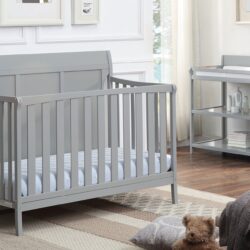 Shailee - 4 In 1 Convertible Crib - Gray