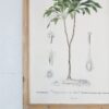 Tree Framed Print (Set of 2) - Multicolor - Image 7