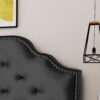 Charismatic - Queen & Full Size Headboard With Button Tufting And Nailhead Trim - Black - Image 8