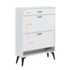 Shoe Cabinet, Shoe Storage Shelves, Metal Leg - White - Image 18