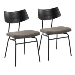 Walker - Mid-Century Modern Chair (Set of 2) - Black / Dark Gray / Black