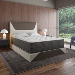 Dream Flex - 13.5" Full Two Sided Plush Mattress - White / Gray