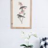 Bird Framed Print (Set of 4) - Multicolor - Image 7