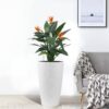 Faux Rattan Tall Planters Set With Water Level Monitor And Automatic Watering, Polypropylene - Black / Gray - Image 2