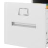 Premium Metal Vertical 3 Drawer File Cabinet With Lock For A4 Legal / Letter Size Documents, Steel - Gunmetal Black - Image 10