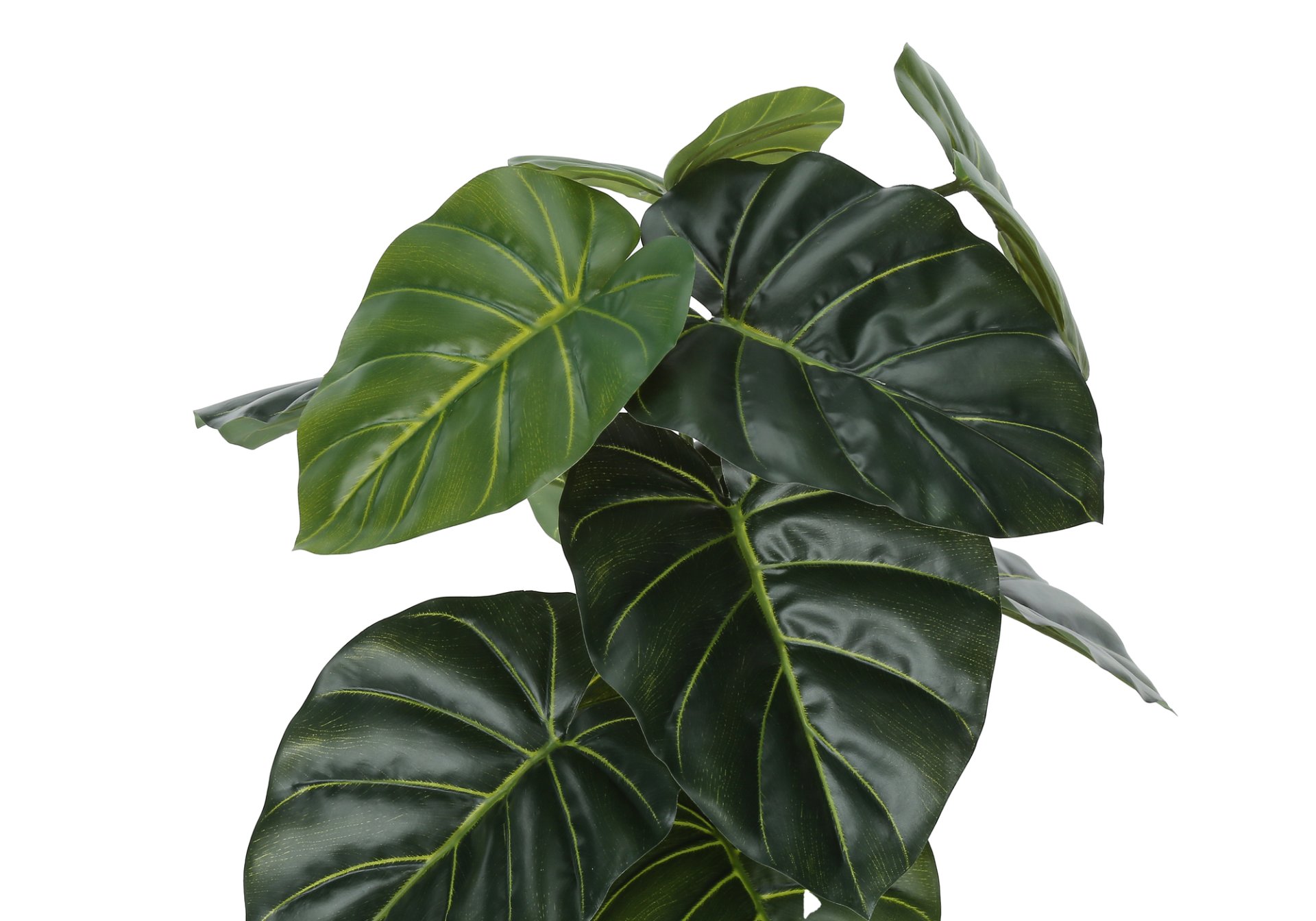 24" Tall, Artificial Plant, Alocasia, Indoor, Faux, Fake, Table, Greenery, Potted, Real Touch, Decorative - Green / Black - Image 5