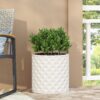 Planter - Antique White - Image 4