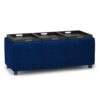 Avalon - Storage Ottoman - Blue - Image 5