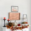 Velvety Pumpkin In Mesh Bag, Bag / 12, For Holiday Harvest Festival Fall Festival & Thanksgiving (Set of 4) - White - Image 9
