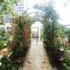 Metal Garden Arch With Two Plant Stands Wide High Climbing Plants Support Rose Arch Outdoor - Black - Image 6
