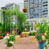 Metal Garden Arch Iron Garden Arbors Gazebo Dia High Birdcage Shape Pergola Pavilion For Wedding Ceremony - Cream White - Image 4