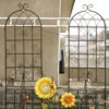 2 Pack Metal Garden Rustproof Trellis For Climbing Plants Outdoor Flower Support - Black - Image 10