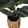 28" Tall, Artificial Plant, Fiddle Tree, Indoor, Faux, Fake, Floor, Greenery, Potted, Real Touch, Decorative - Green / Beige - Image 3