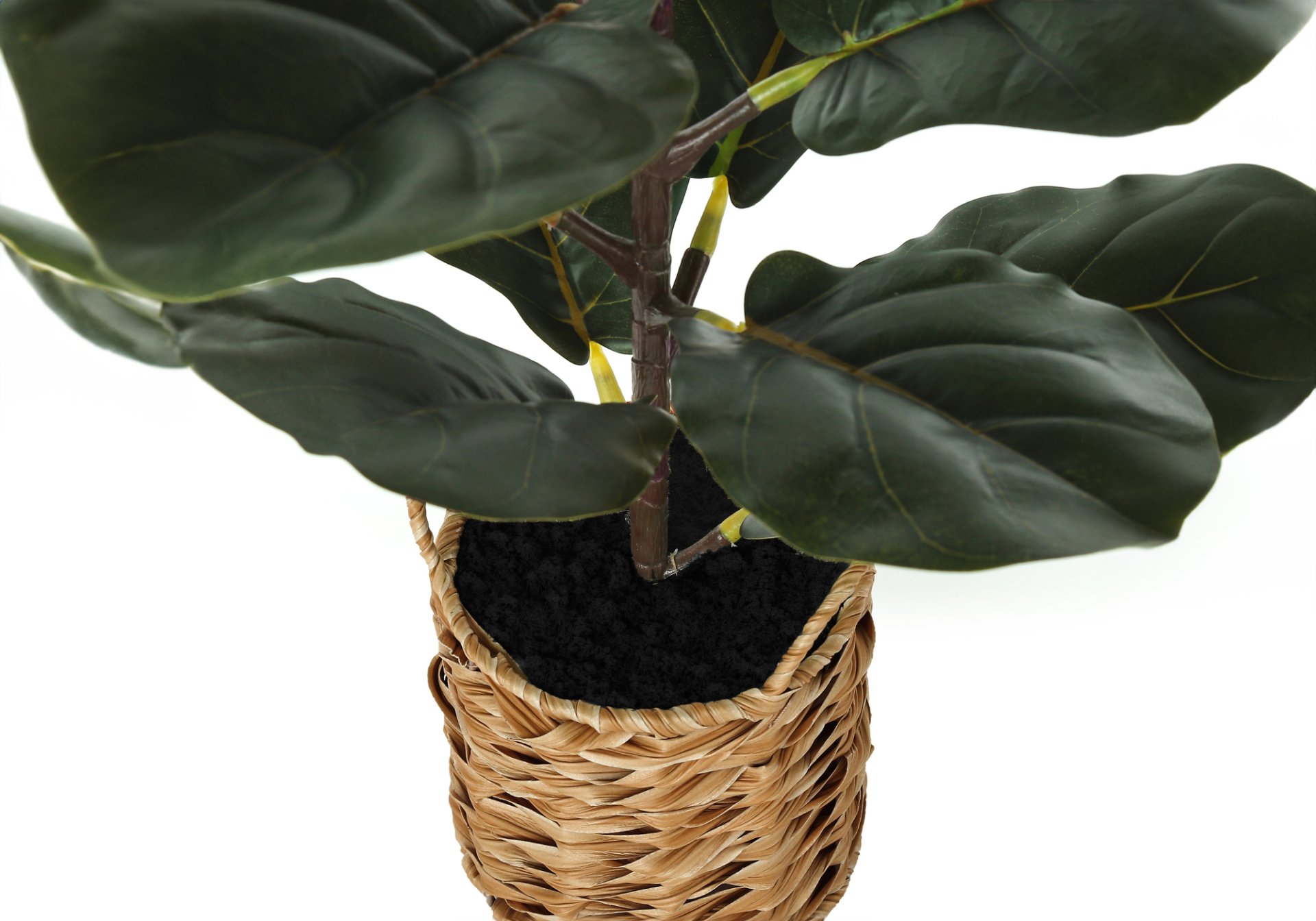 28" Tall, Artificial Plant, Fiddle Tree, Indoor, Faux, Fake, Floor, Greenery, Potted, Real Touch, Decorative - Green / Beige - Image 3