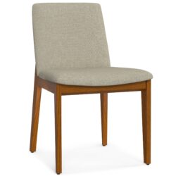Selena - Dining Chair (Set of 2) - Brown