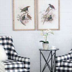 Bird Framed Print (Set of 2) - Multicolor