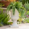 Classic Italian Urn Planter - Antique White - Image 5
