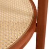 Modern Minimalist Circular Double Layer Solid Wood Coffee Table With Glass Top, Rattan Layer - Walnut - Image 6